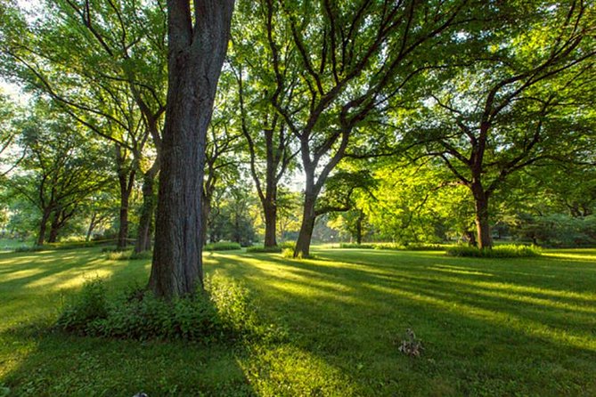 Central Park Guided Walking Tour - The Ramble and the park’s quieter side