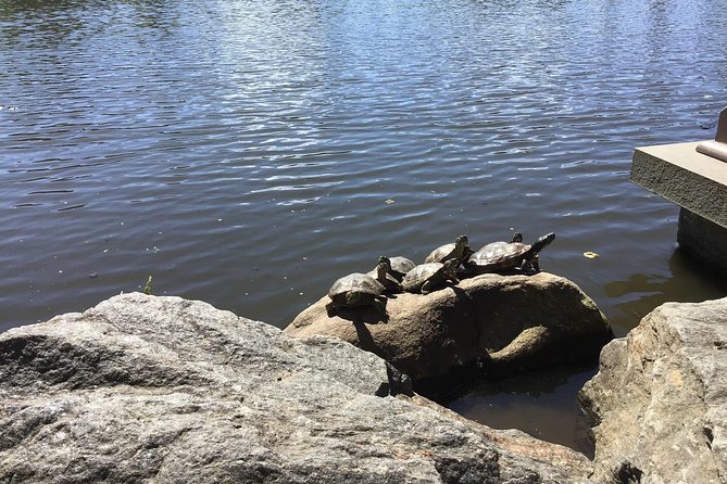 Central Park Guided Walking Tour - Stories for adults, children, and curious repeat visitors
