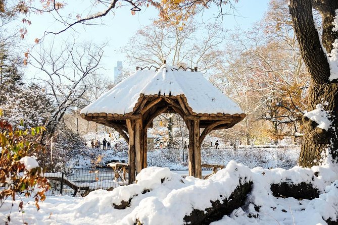 Central Park Guided Walking Tour in French - Film locations and small stories