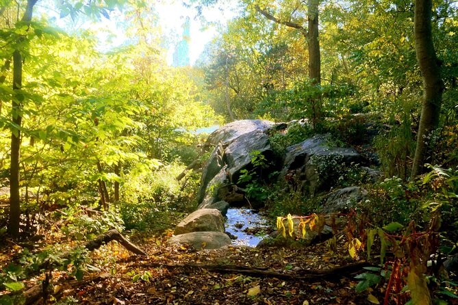 Central Park Guided Walking Tour - Natural Marvels - Key points at a glance