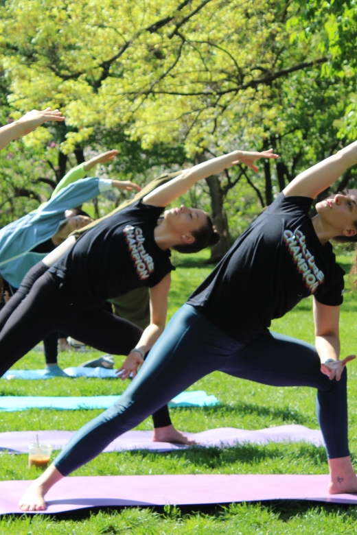 Central Park: Highest Rated Yoga Class in New York City! - From first stretch to shavasana
