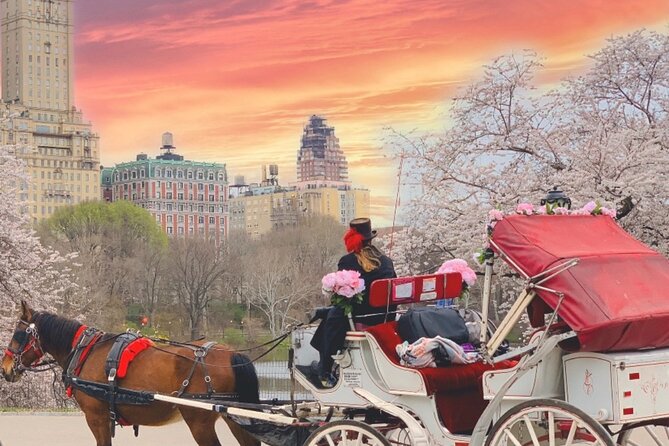 Central Park Horse and Carriage Rides - Bethesda Fountain, the ride’s central photo stop