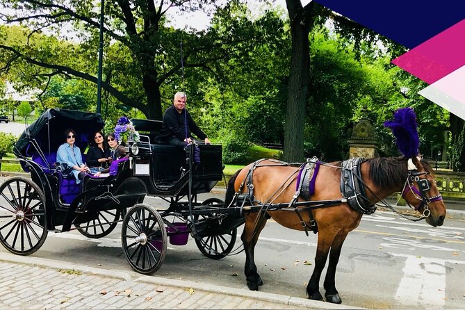 Central Park Horse and Carriage Rides - Literary Walk and the American elm arches