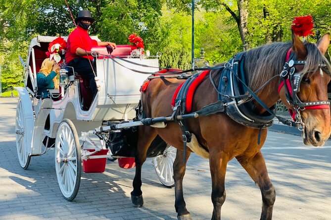 Central Park Horse and Carriage Rides - Bow Bridge and the best-known carriage photo
