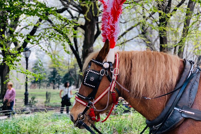 Central Park Horse and Carriage Rides - Cherry Hill and views toward the Upper West Side