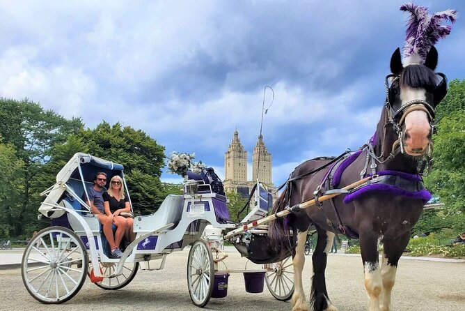 Central Park Horse and Carriage Rides - Starting near West 59th Street and Sixth Avenue