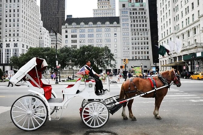 Central Park Horse Carriage Ride - Key points to know before you book