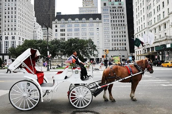 Central Park Horse Carriage Ride - Balto, SummerStage, and Pilgrim Hill