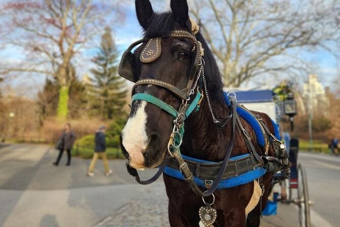 Central Park Horse Carriage Ride - Conservatory Water and Bethesda Terrace