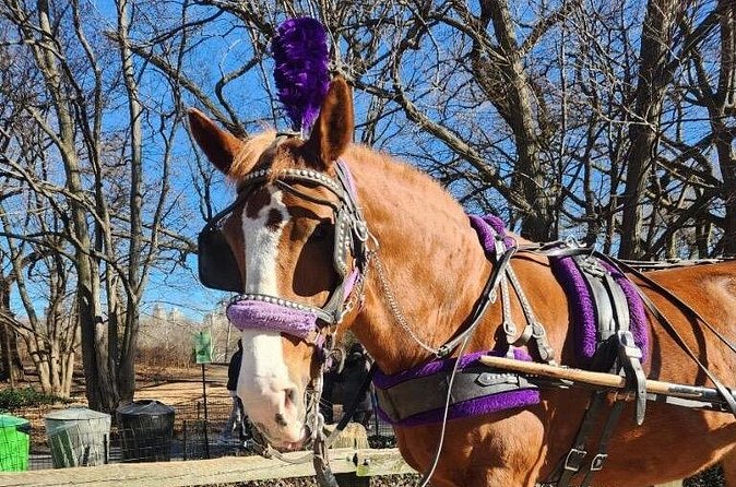Central Park Horse Carriage Ride - The Mall, Loeb Boathouse, and Cherry Hill