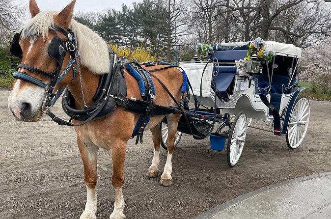Central Park Horse Carriage Ride - The Dakota, Sheep Meadow, and Pinebank Arch