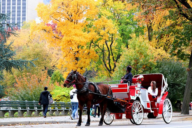 Central Park Horse Carriage Ride Short Loop (Up to 4 Adults)) - Guides who shape the experience