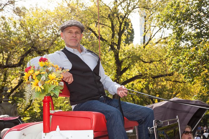 Central Park Horse Carriage Ride Short Loop (Up to 4 Adults)) - Winter blankets, rain cover, and changing weather