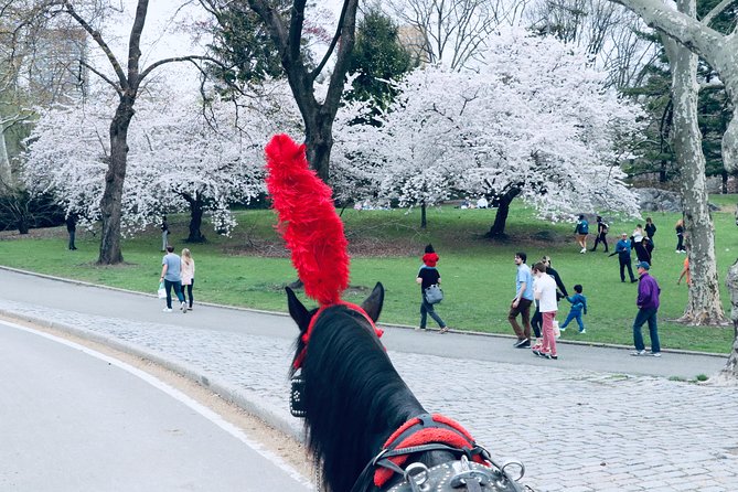 Central Park Horse Carriage Ride Short Loop (Up to 4 Adults)) - Is $115 good value for four adults?