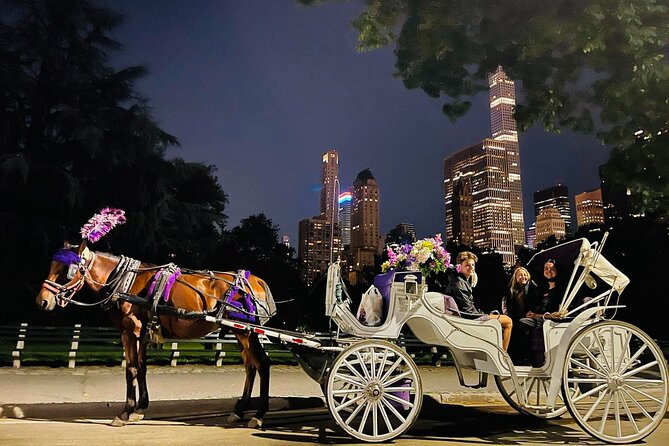 Central Park Moonlight Tour with Photo (45 min) ~ Skip the line - What you see along the 45-minute route