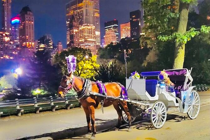 Central Park Moonlight Tour with Photo (45 min) ~ Skip the line - Blankets, carrots, and the horse itself