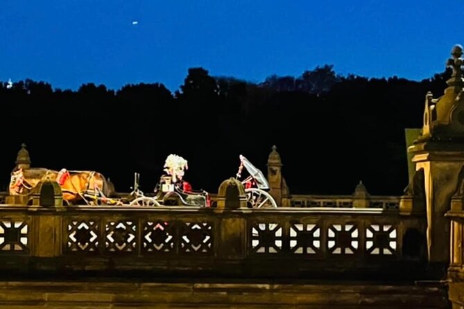 Central Park Moonlight Tour with Photo (45 min) ~ Skip the line - Is $199.99 good value?