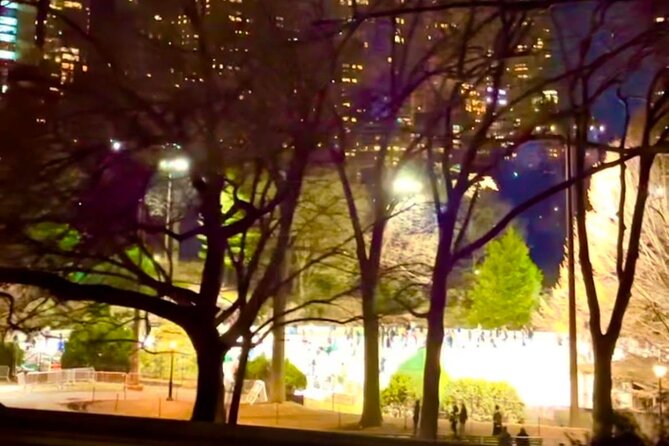 Central Park Moonlight Tour with Photo (45 min) ~ Skip the line - Timing, weather, and practical concerns