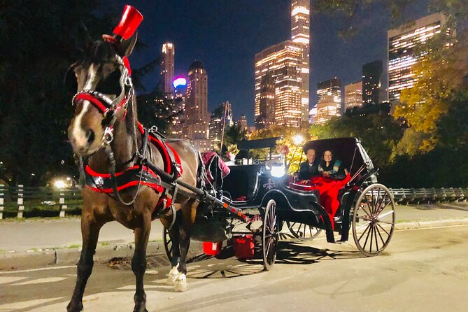 Central Park Moonlight Tour with Photo (45 min) ~ Skip the line - Who should book this Central Park ride?