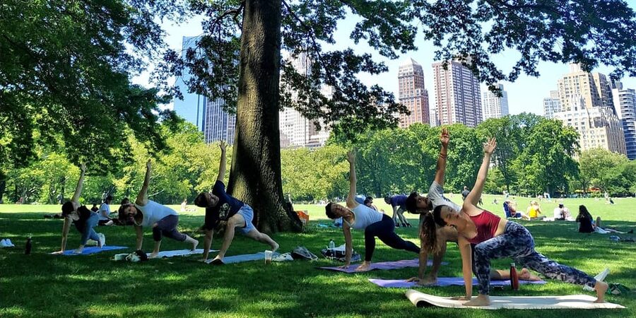 Central Park, New York: Yoga Classes in the park since 2012 - Why Central Park changes the yoga hour