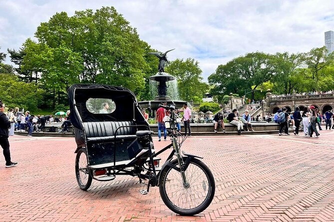 Central Park Pedicab Guided Tour - Key points before you book