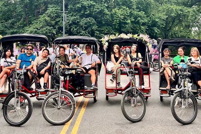Central Park Pedicab Guided Tour - Why a pedicab works well in Central Park
