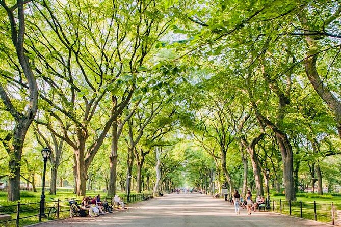 Central Park Pedicab Guided Tours - 1, 1.5 & 2Hrs - Alice in Wonderland, close enough to see the details