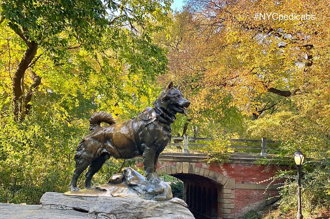 Central Park Pedicab Rickshaw Tours - Shakespeare Garden, the obelisk, and the northern views
