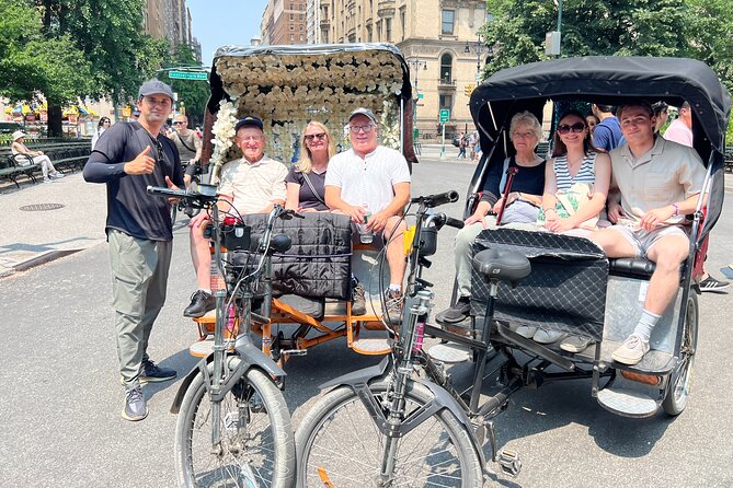 Central Park Pedicab Tour with local Guide - The southern park: Umpire Rock, Wollman Rink, and Gapstow Bridge