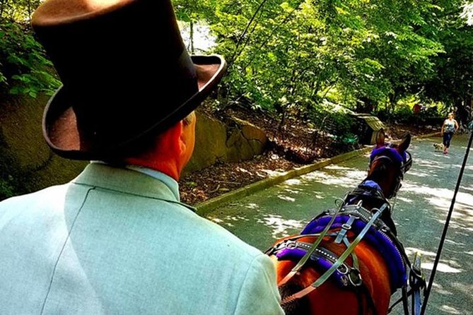 Central Park Private Horse and Carriage Tour - What a private carriage ride adds to Central Park