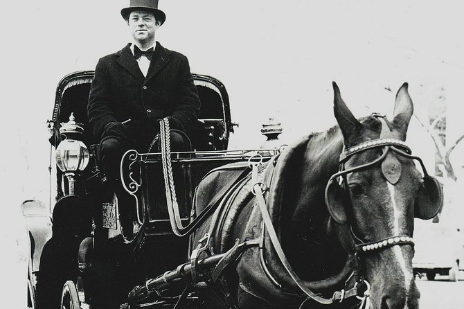 Central Park Private Horse and Carriage Tour - Who will enjoy this ride most
