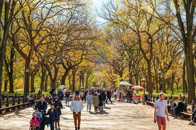 Central Park Private Pedicab Tour (60 mins) - Bow Bridge, the park’s romantic postcard