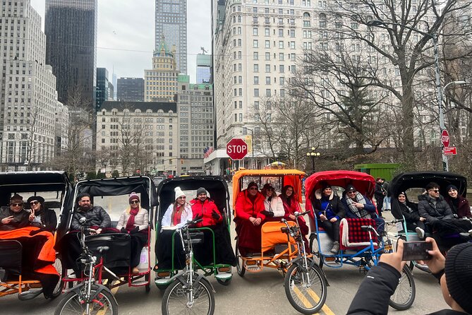 Central Park Private Tour - Starting at Grand Army Plaza and Wollman Rink