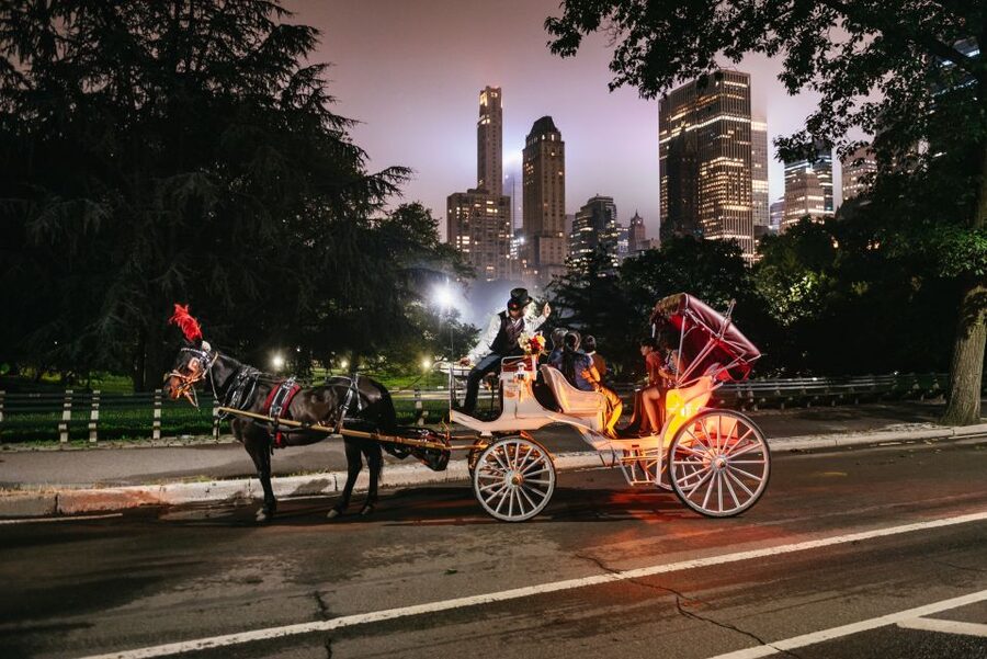 Central Park, Rockefeller & Times Carriage Ride (4 Adults) - Key points at a glance