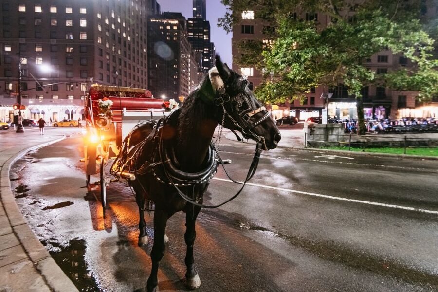 Central Park, Rockefeller & Times Carriage Ride (4 Adults) - Should you book it?