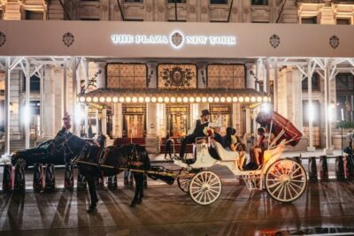 Central Park, Rockefeller & Times Carriage Ride (4 Adults)