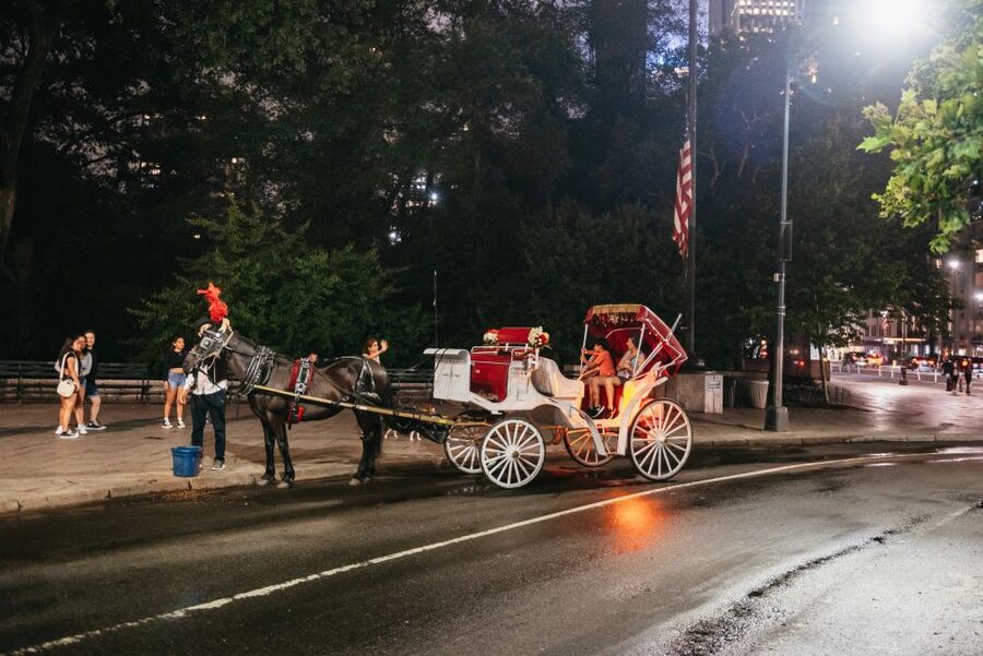 Central Park, Rockefeller & Times Carriage Ride (4 Adults) - Weather, comfort, and practical limits
