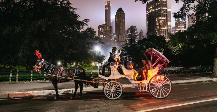 Central Park, Rockefeller & Times Carriage Ride (4 Adults) - Who should book this carriage ride?