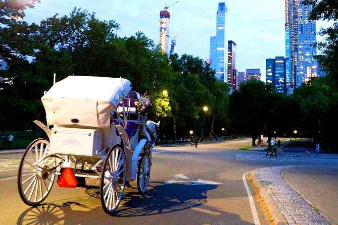 Central Park & Rockefeller Tour (4 Adults) - Fifth Avenue, the Pulitzer Fountain, and luxury storefronts