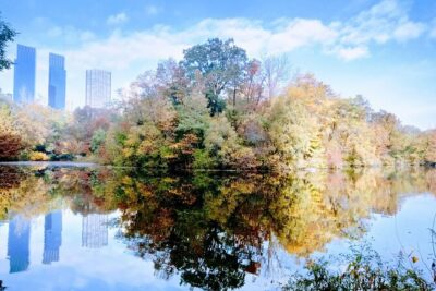 Central Park: Scandal & Vice Walking Tour