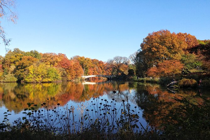 Central Park: Scandal & Vice Walking Tour - Rumsey Playfield and a lost nightclub