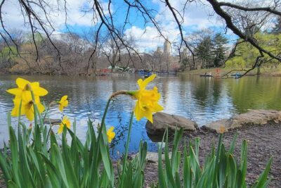 Central Park Secrets And Highlights