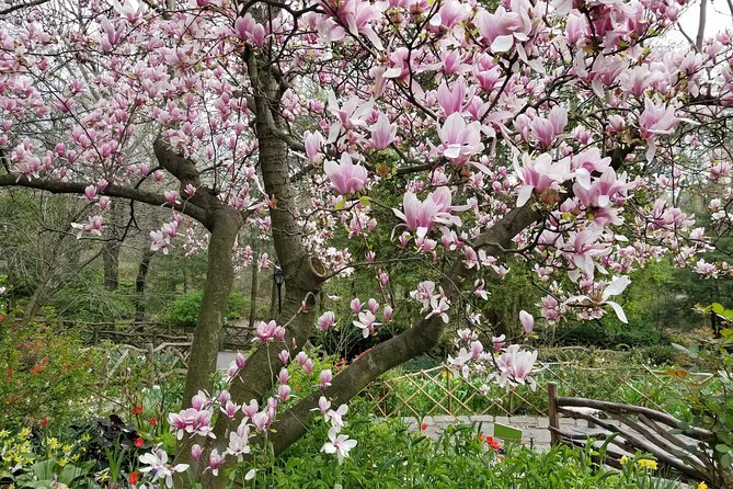 Central Park Secrets And Highlights - Weather, clothing, and practical planning