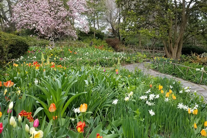 Central Park Secrets And Highlights - Who will get the most from this walk