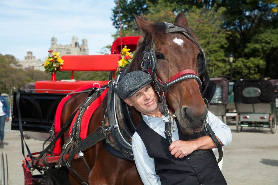 Central Park: Short Horse Carriage Ride (Up to 4 Adults) - What this 20-minute Central Park ride feels like