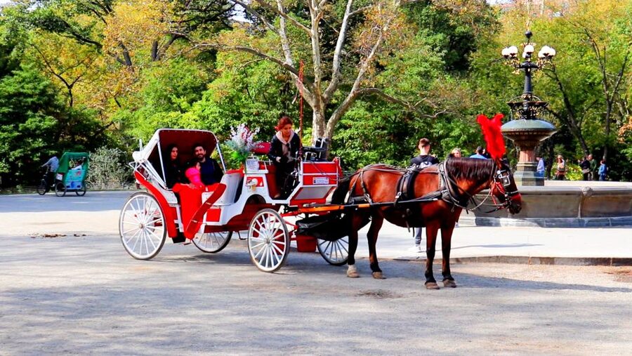 Central Park: Short Horse Carriage Ride (Up to 4 Adults) - Is $115 a fair price for four people?