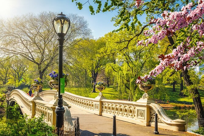 Central Park Stolen Archives: NY Exploration Game and Tour - The Mall, Bethesda Terrace, and the heart of Central Park