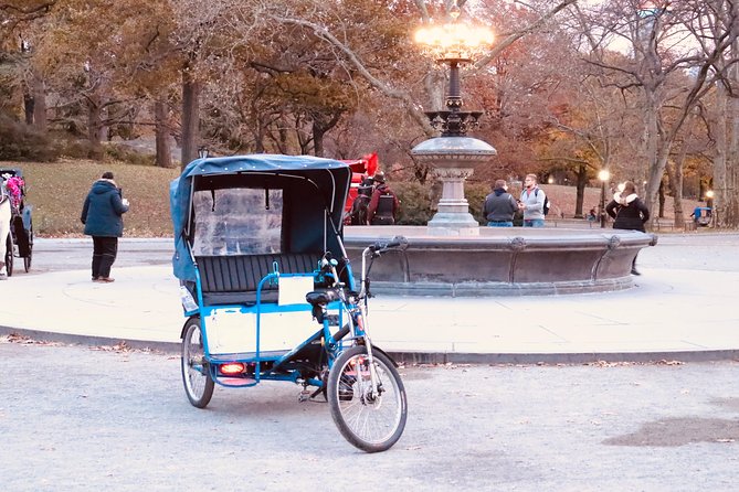 Central park Tour happy hour Pedicab tour - Tea, coffee, and blankets when the weather turns