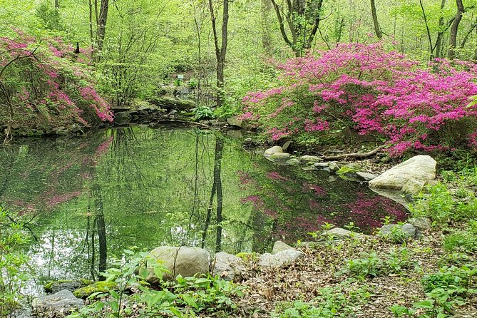 Central Park Walking Tour - The Mall, Literary Walk, bridges, and smaller details