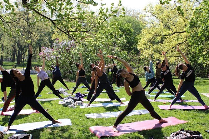 Central Park Yoga Class with a View in the Heart of New York City - Is $35 a fair price?
